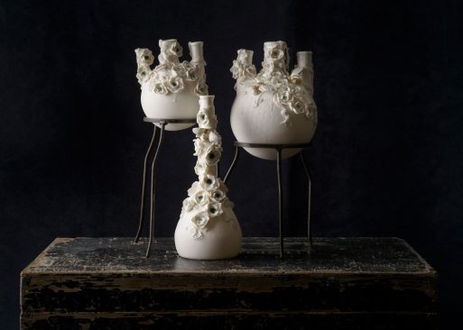 Art Of Science Jillian Riley Designs