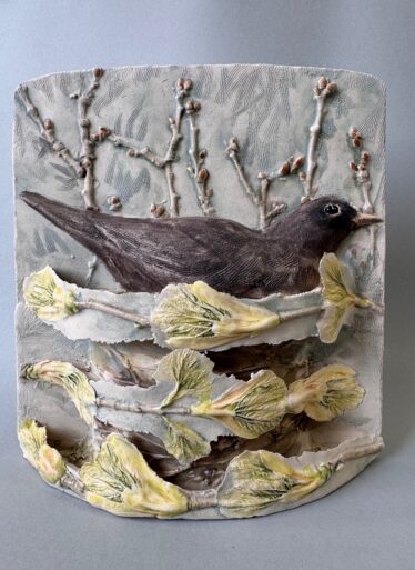 Flat backed bird image