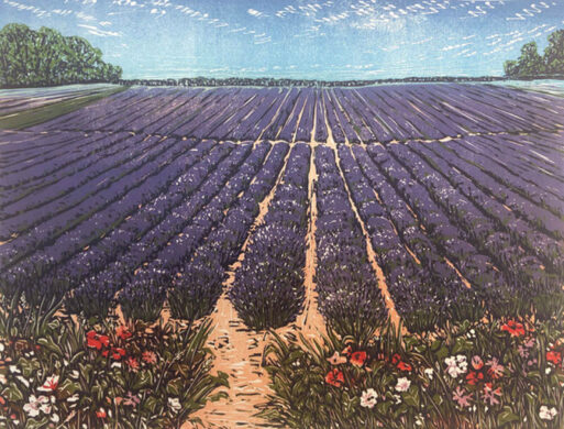 Lavender Fields web