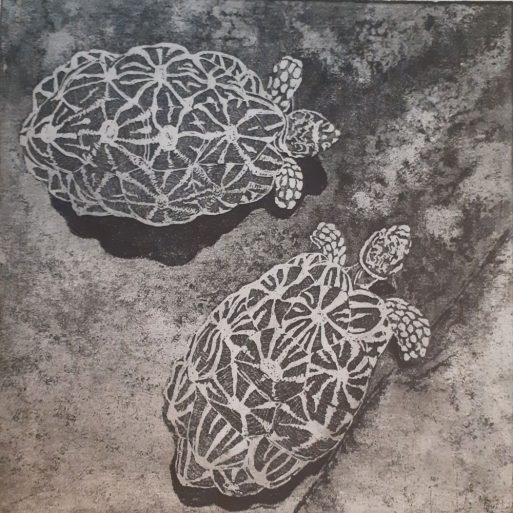 Tortoise 1 Janet Beautyman