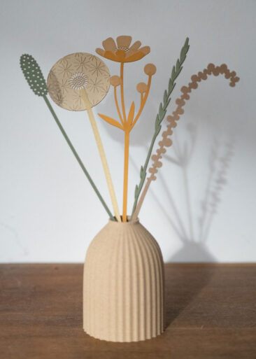 Buttercup dandelion 8