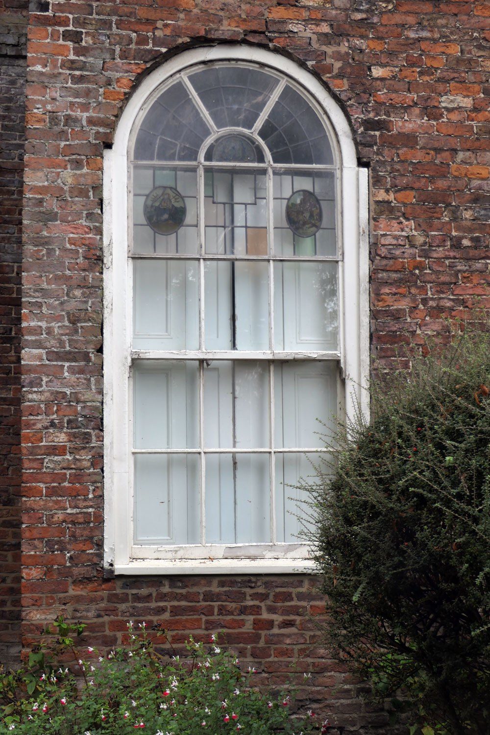 Window WEG1