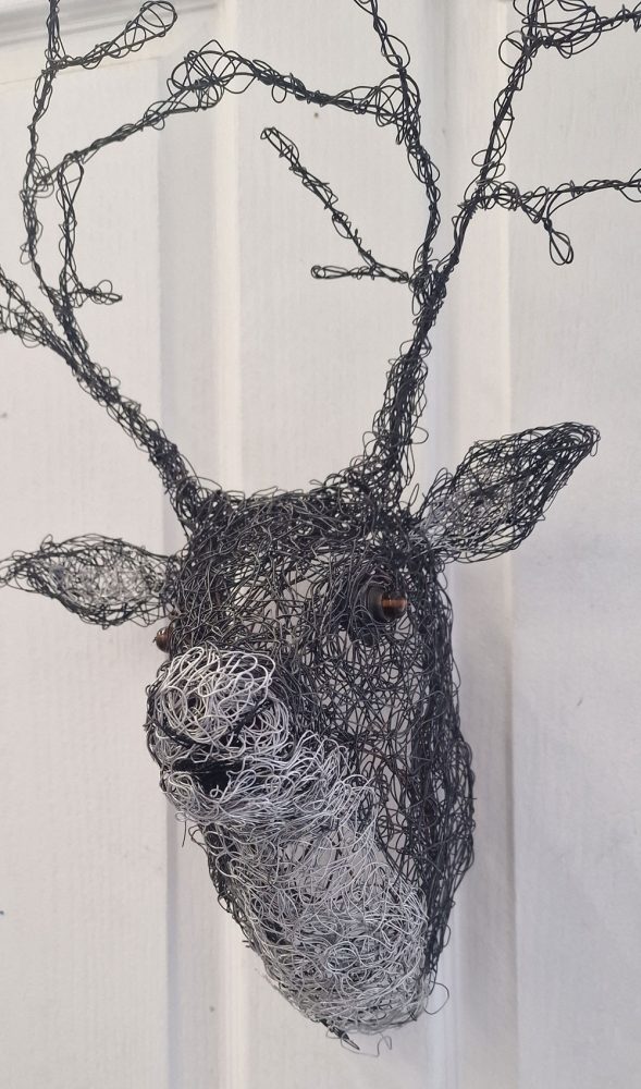 Reindeer 1web