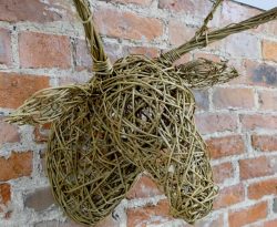 Willow stag