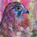 Kestrel Creative Textiles