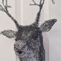 Reindeer 1web