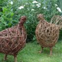 Bird alison walling