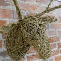 Willow stag