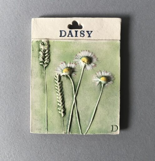 Seed packet