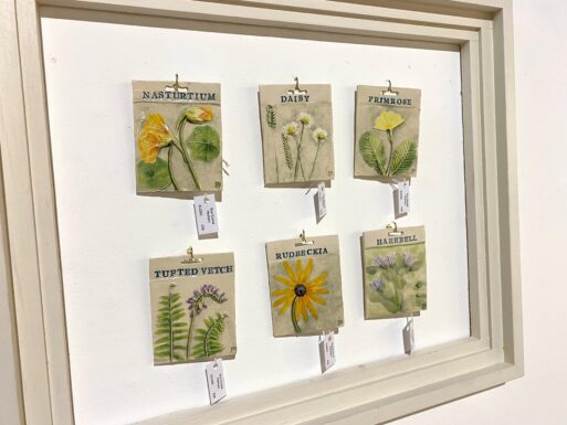 Seed packets in frame